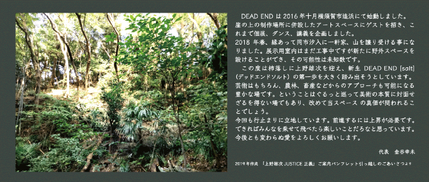 Here is DEAD END [salt]